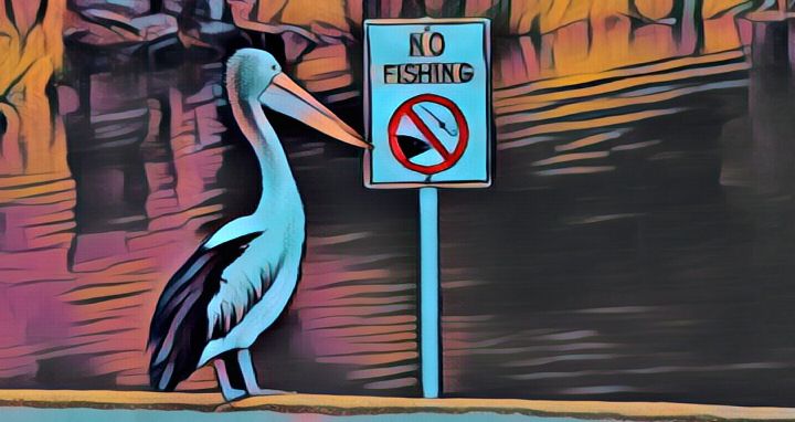 Pelikan steht vor Schild 'No Fishing'
